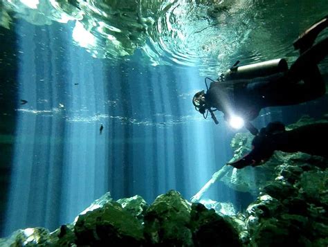 Scuba Diving Cenotes Mexico Mcascidos