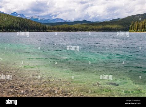 The Clear Waters Of Patricia Lake In Jasper National Park In Alberta