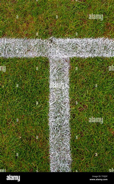 Sports Field Marking Looking Like The Letter T Stock Photo Alamy