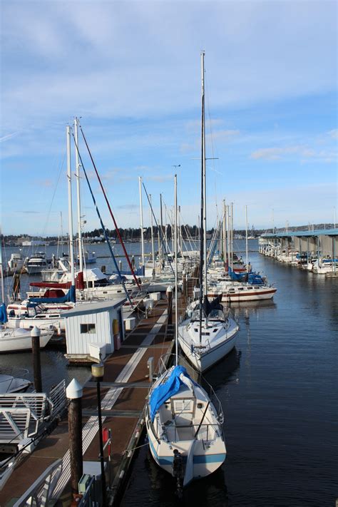 Marina With Boats Free Stock Photo Public Domain Pictures