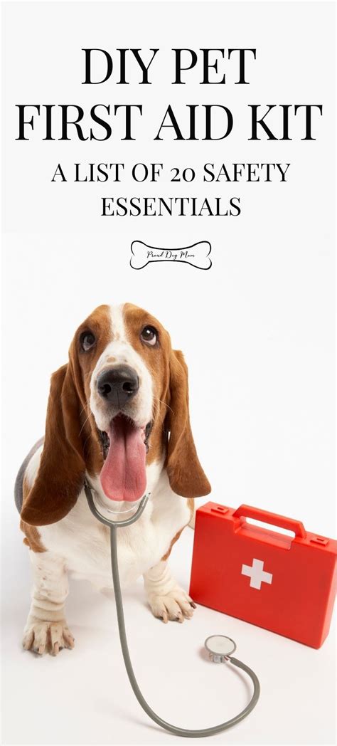 Diy Pet First Aid Kit A List Of 20 Safety Essentials Dog Health