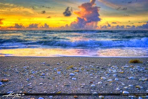 Shells On The Beach Sunrise At Singer Island Florida Sunrise Beach