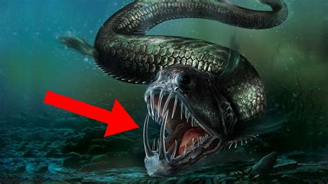 10 Most Terrifying And Deadliest Sea Creatures Youtube