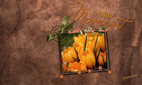 800x480 Brown And Orange Flower Wallpaper With Quote That