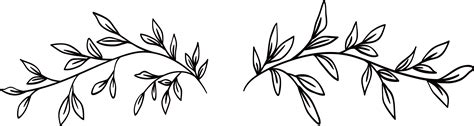 Vine Clipart Black And White Free Cliparts Download Images On