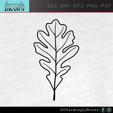 Leaf Svg Bundle Aspen Leaf Svg Maple Leaf Svg Pecan Tree Etsy