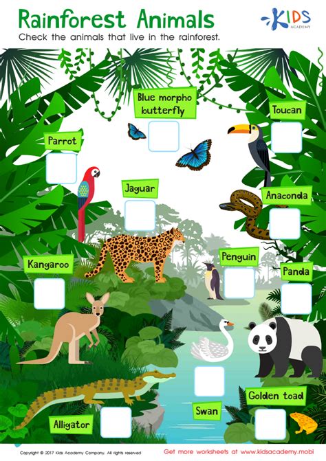 Rainforest Animals Worksheet Free Printable Pdf For Kids