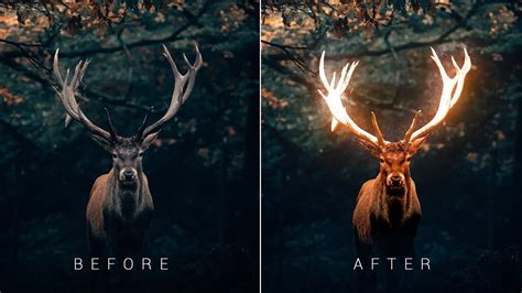 Glow Effect Deer Antlers Photoshop Tutorial Glowing Effect Youtube
