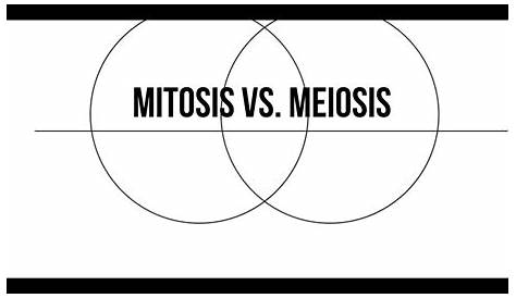 Mitosis vs Meiosis Venn Diagram - YouTube