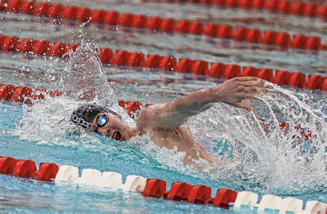 Boys Swimming And Diving State Meet Preview Daily Journal