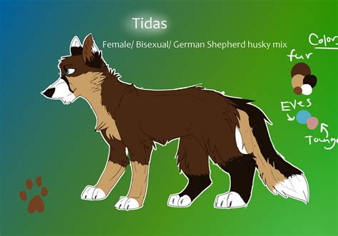 Tidas Reference 2017 Main Canine Fursona By Taika Lykos On Deviantart