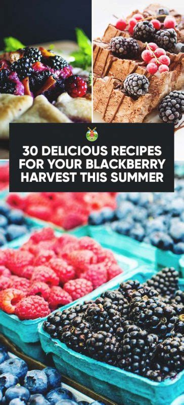 30 Delicious Blackberry Recipes You Should Try At Least Once