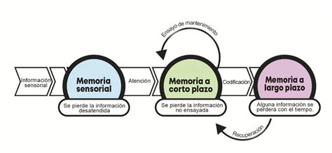 La Memoria Humana Mind Map