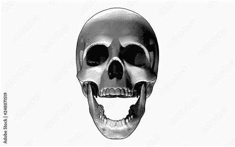 Skull Screaming Pose Illustration Isolated On White Bg Stock Vector