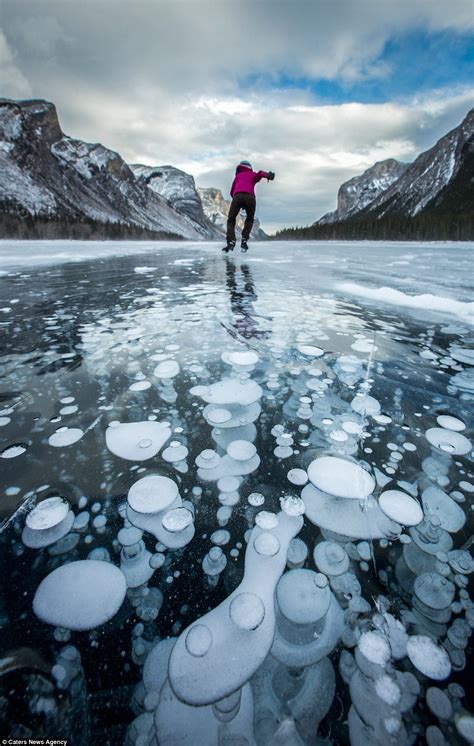 Icy Jellyfish No These Strange Phenomena Are Frozen Methane Bubbles