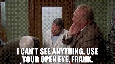 YARN I Can T See Anything Use Your Open Eye Frank The Naked Gun From The Files Of