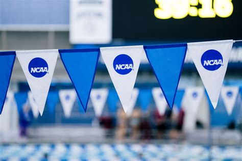 Time Standards Released For The 2023 Ncaa Div Ii Swimming And Diving