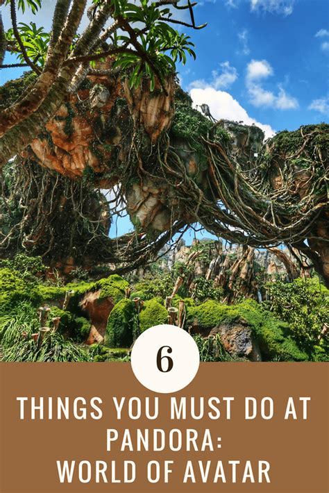 Top Six Things You Must Do At Pandora World Of Avatar Living By