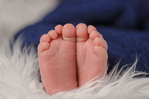 Close Up Shot Of A Newborn Baby S Feet Stock Image Image Of Macro