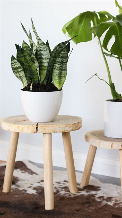 Diy Plant Stands For 7 Quick And Easy Wood Plants Stands