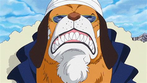 Monkey D Luffy Wiki Otanix Amino