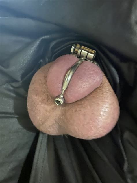 Various Micro Chastity And Sounding 32 Pics Xhamster