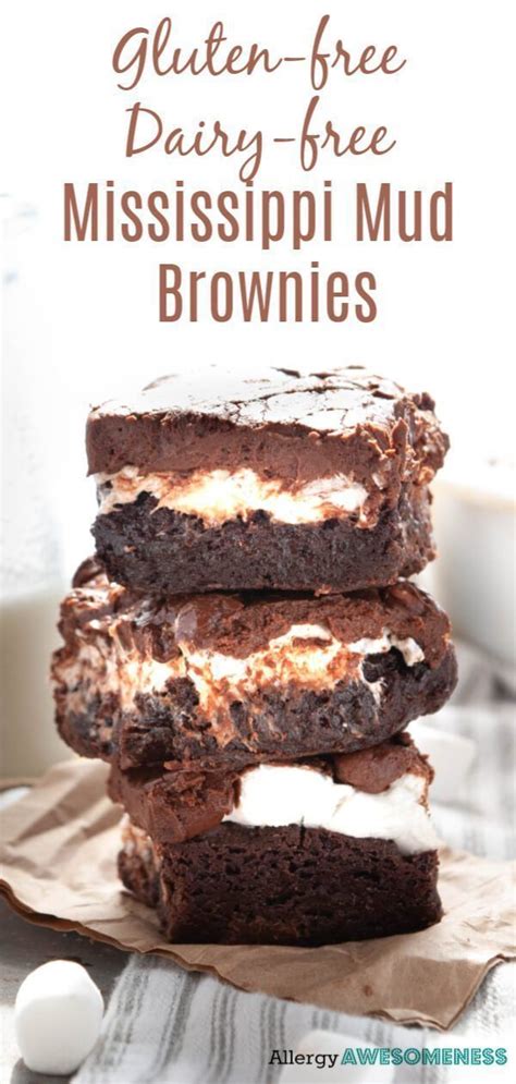 Check out this post for 9. Allergy-friendly Mississippi Mud Brownies (Top 8 free!) | Recipe | Gluten free treats, Dairy ...
