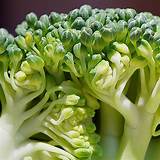 Cómo cocinar brócoli al vapor. Cómo cocinar con brócoli | Gastronomía Vegana