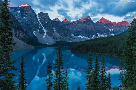 Zdjęcie Kanada Alberta Park Narodowy Banff Jezioro Moraine Las