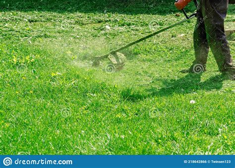 Employee Mows Green Grass On The Lawn With Portable Lawn Mower Stock