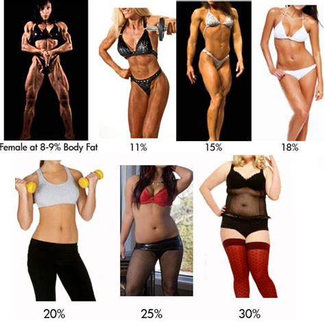 Essential body fat and storage fat. Check your body fat percentage online - Body fat ...