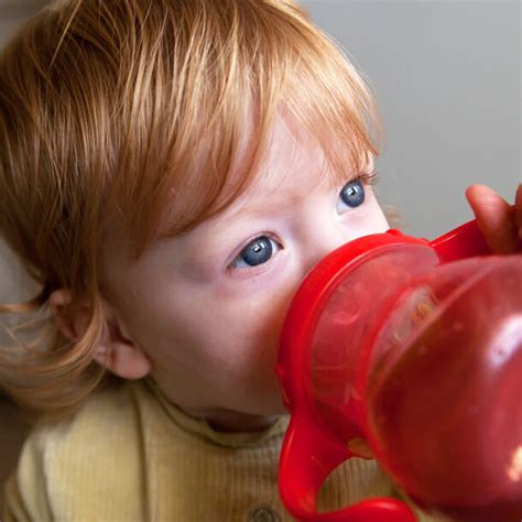 Guide To Non Toxic Sippy Cups For Babies And Toddlers 2021