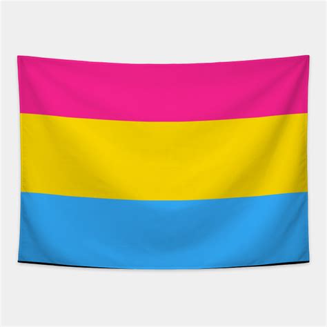 Someone whose sexual identity changes fluidly. Proud Pansexual Pride Flag (Proud LGBT LGBTQ+ Community ...