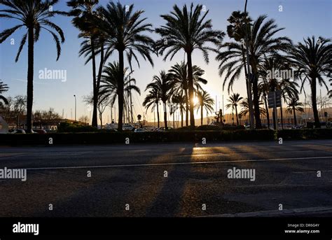 Avinguda De Gabriel Roca Hi Res Stock Photography And Images Alamy