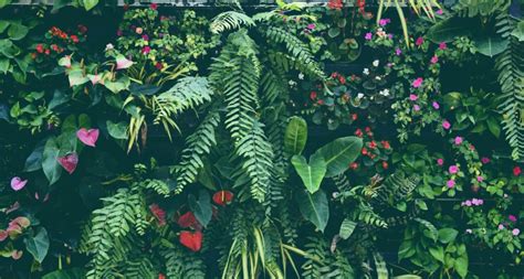 11 Tropical Garden Ideas For The Uk Uk