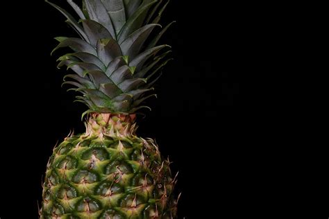 Pineapple Photograph By Bill Goldman Fine Art America