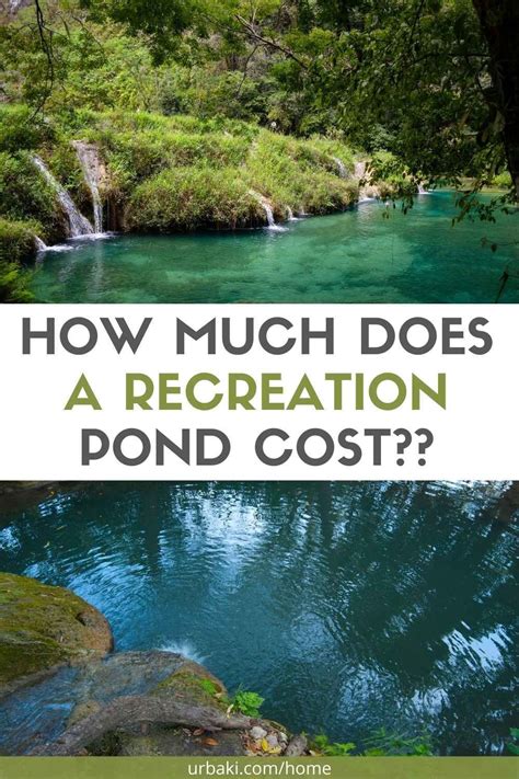 How Much Does A Recreation Pond Cost Natural Swimming Ponds Ponds