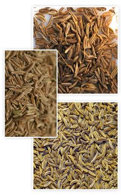 Whole cumin seeds are essential in indian curries and are commonly roasted before being ground for a nutty taste. Cumin Seeds - Zeera - Jeera - Spice | H.Y. International