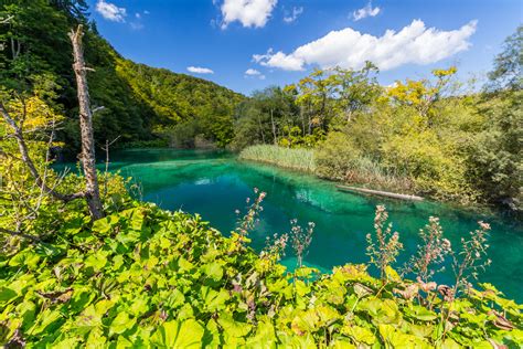 Plitvice Lakes National Park Adriatic Dmc