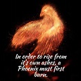 In order to rise from its own ashes, a phoenix must first burn ...