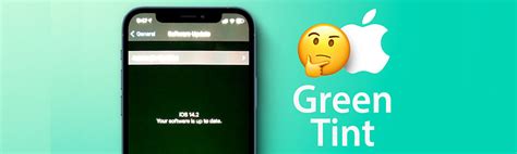 Are You Getting The Iphone 12 Green Screen Issue Heres How To Solve It