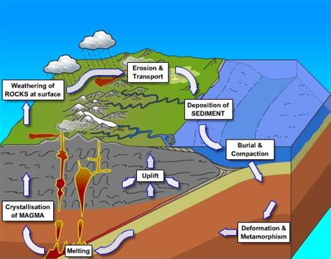 Geological Society Rock Cycle Processes