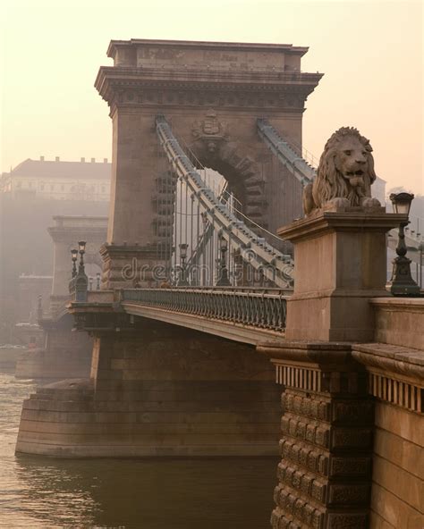 Budapest Chain Bridge And Lion Stock Image Image Of