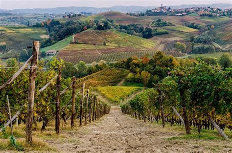 Langhe Monferrato E Roero Patrimonio Unesco Tessere