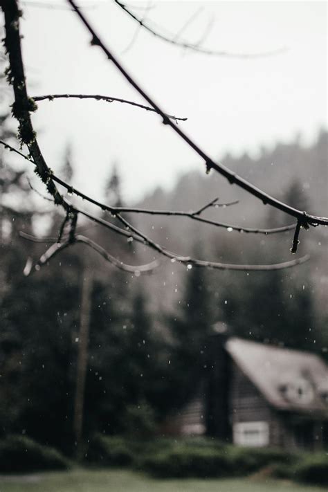 Nordic Feeling Photo Rain Photography Smell Of Rain Rainy