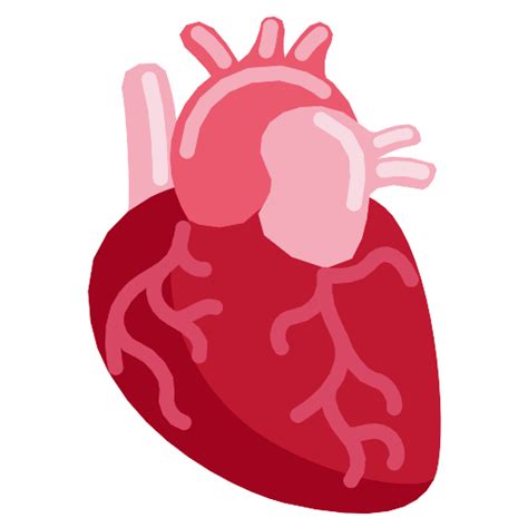 Anatomical Heart Vector Svg Icon Png Repo Free Png Icons