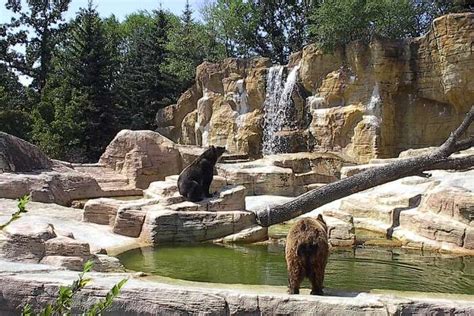 10 Best Zoos In Canada One Must Visit