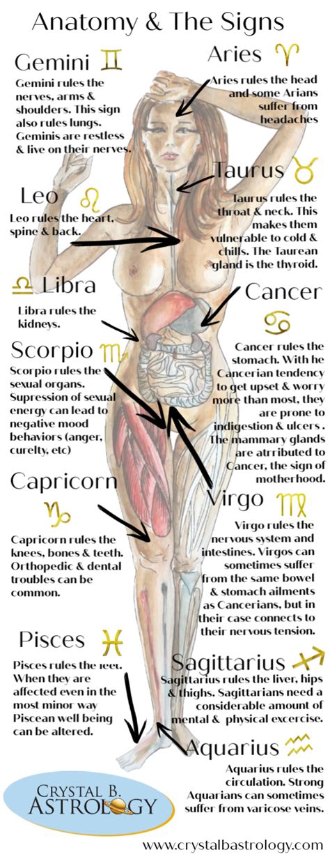 Jump down below to see a detailed list of what's included or some tips on how to interpret your own chart. Medical Astrology: Connections Between Anatomy and the Planets - Crystal B. Astrology