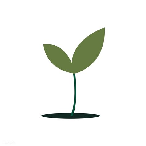 Green Plant Isolated In White Illustration Free Image By