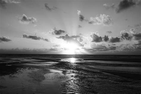 Here you can buy an affordable original piece of art for your home. black and white beach sunset - Google Search | Black and white beach, Black and white, Beach sunset